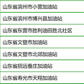 经典案例：加油站标准型潜油泵（六）