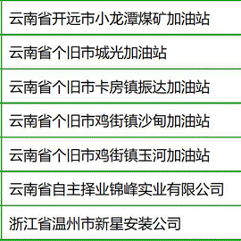 经典案例：加油站标准型潜油泵（十五）