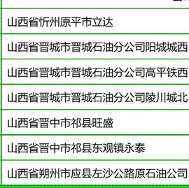 经典案例：加油站甲醇汽油潜油泵（一）